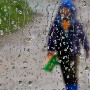A South African boy walks through the rain in the informal shack settlement of Masiphumelele outside Cape Town, South Africa.  