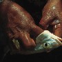 A woman from the San Blas Islands guts a fish, Panama 2001.