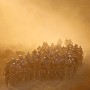 The pelaton races along a country road at sunrise during stage 4 of the Absa Cape Epic mountain bike team stage race in the Overberg region of South Africa, 29 March 2012. The Cape Epic is the premier multi day stage race in the world and sees 1200 cyclists riding in pairs over 780km and climbing more than16300 meters, twice the high of Mount Everest over 8 days of racing.